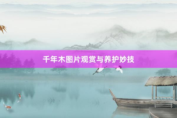 千年木图片观赏与养护妙技