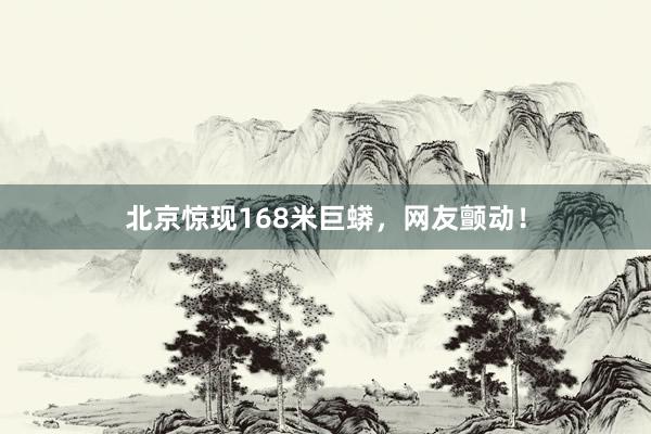 北京惊现168米巨蟒,网友颤动!